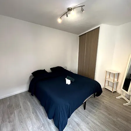 Duplex, Wifi, Linge, Parking Apartment Roanne